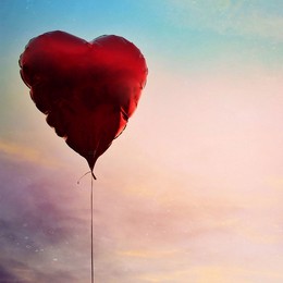 Memento_15_thumbnail